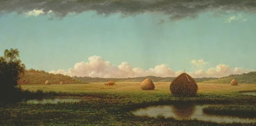 Lluvias de verano